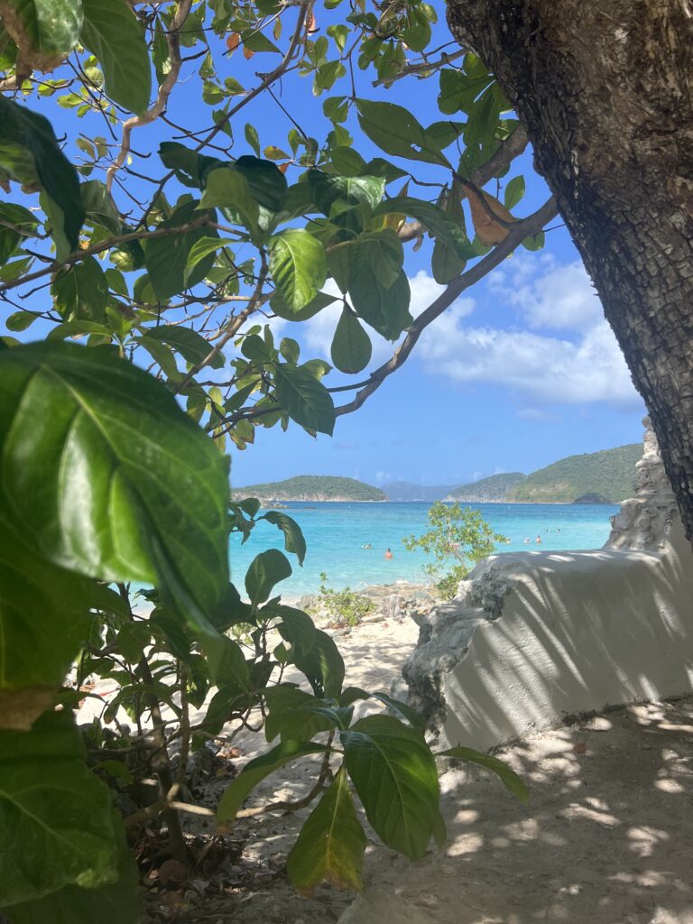 Best Snorkeling Spots in St. John USVI: A Complete Guide
